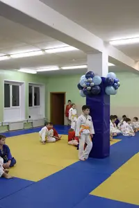 Первенство "Упрощенное дзюдо и самбо» 2015 г.р.