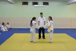 Первенство "Упрощенное дзюдо и самбо» 2015 г.р.