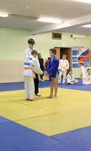 Первенство "Упрощенное дзюдо и самбо» 2015 г.р.