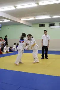 Первенство "Упрощенное дзюдо и самбо» 2015 г.р.