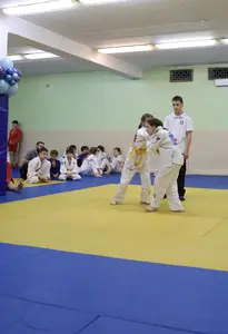 Первенство "Упрощенное дзюдо и самбо» 2015 г.р.