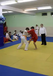 Первенство "Упрощенное дзюдо и самбо» 2015 г.р.