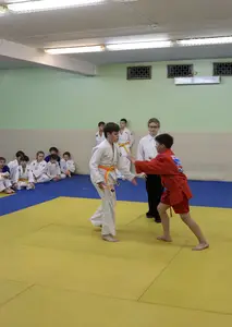 Первенство "Упрощенное дзюдо и самбо» 2015 г.р.