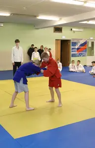 Первенство "Упрощенное дзюдо и самбо» 2015 г.р.