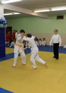 Первенство "Упрощенное дзюдо и самбо» 2015 г.р.