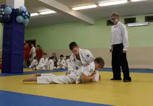 Первенство "Упрощенное дзюдо и самбо» 2015 г.р.