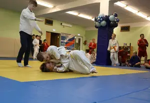 Первенство "Упрощенное дзюдо и самбо» 2015 г.р.