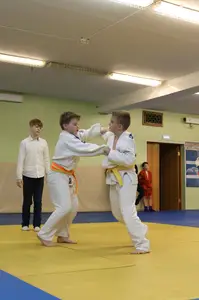 Первенство "Упрощенное дзюдо и самбо» 2015 г.р.