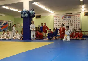 Первенство "Упрощенное дзюдо и самбо» 2015 г.р.