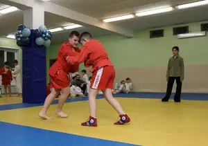 Первенство "Упрощенное дзюдо и самбо» 2015 г.р.