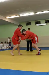 Первенство "Упрощенное дзюдо и самбо» 2015 г.р.