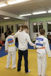 Первенство "Упрощенное дзюдо и самбо» 2015 г.р.