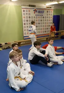 Первенство "Упрощенное дзюдо и самбо» 2015 г.р.