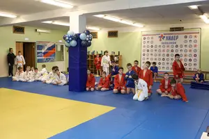 Первенство "Упрощенное дзюдо и самбо» 2015 г.р.