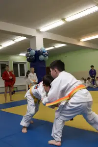 Первенство "Упрощенное дзюдо и самбо» 2015 г.р.