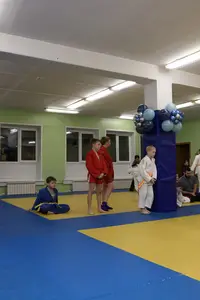 Первенство "Упрощенное дзюдо и самбо» 2015 г.р.