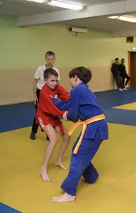 Первенство "Упрощенное дзюдо и самбо» 2015 г.р.