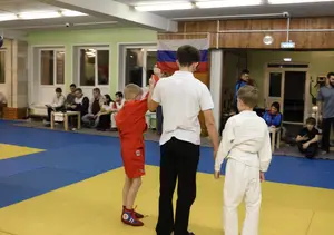 Первенство "Упрощенное дзюдо и самбо» 2015 г.р.