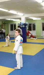 Первенство "Упрощенное дзюдо и самбо» 2015 г.р.