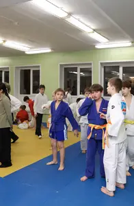 Первенство "Упрощенное дзюдо и самбо» 2015 г.р.