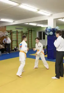 Первенство "Упрощенное дзюдо и самбо» 2015 г.р.