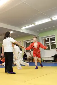 Первенство "Упрощенное дзюдо и самбо» 2015 г.р.