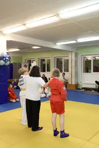 Первенство "Упрощенное дзюдо и самбо» 2015 г.р.