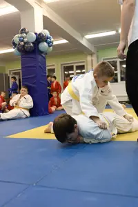 Первенство "Упрощенное дзюдо и самбо» 2015 г.р.