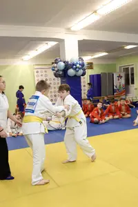 Первенство "Упрощенное дзюдо и самбо» 2015 г.р.