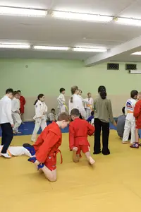 Первенство "Упрощенное дзюдо и самбо» 2015 г.р.