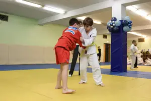 Первенство "Упрощенное дзюдо и самбо» 2015 г.р.