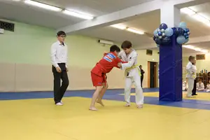 Первенство "Упрощенное дзюдо и самбо» 2015 г.р.