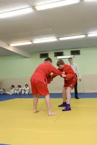 Первенство "Упрощенное дзюдо и самбо» 2015 г.р.