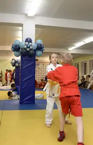 Первенство "Упрощенное дзюдо и самбо» 2015 г.р.