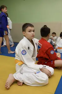 Первенство "Упрощенное дзюдо и самбо» 2015 г.р.