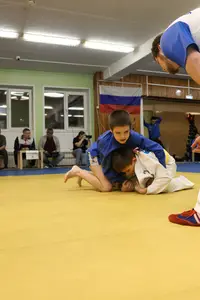 Первенство "Упрощенное дзюдо и самбо» 2015 г.р.