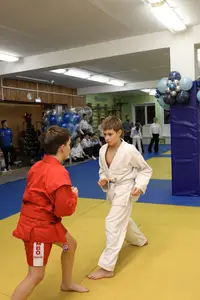 Первенство "Упрощенное дзюдо и самбо» 2015 г.р.