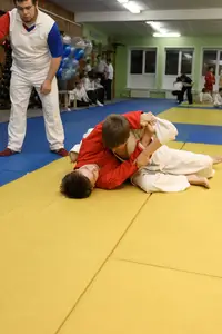 Первенство "Упрощенное дзюдо и самбо» 2015 г.р.