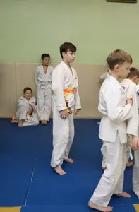 Первенство "Упрощенное дзюдо и самбо» 2015 г.р.