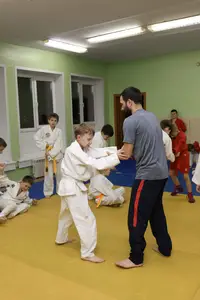 Первенство "Упрощенное дзюдо и самбо» 2015 г.р.