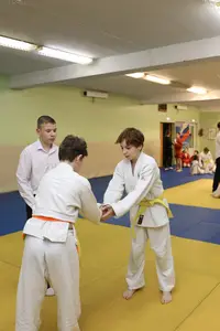 Первенство "Упрощенное дзюдо и самбо» 2015 г.р.