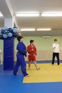 Первенство "Упрощенное дзюдо и самбо» 2015 г.р.