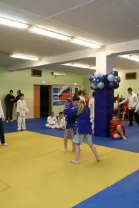 Первенство "Упрощенное дзюдо и самбо» 2015 г.р.