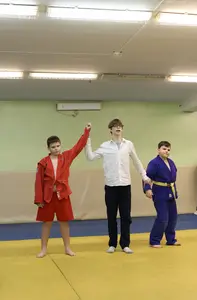 Первенство "Упрощенное дзюдо и самбо» 2015 г.р.