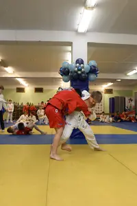 Первенство "Упрощенное дзюдо и самбо» 2015 г.р.