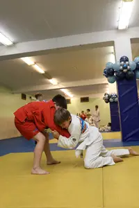 Первенство "Упрощенное дзюдо и самбо» 2015 г.р.