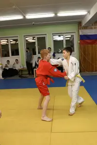 Первенство "Упрощенное дзюдо и самбо» 2015 г.р.