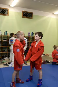 Первенство "Упрощенное дзюдо и самбо» 2015 г.р.