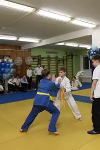 Первенство "Упрощенное дзюдо и самбо» 2015 г.р.