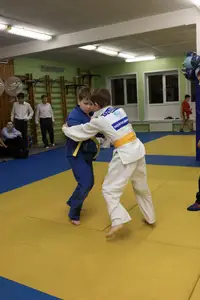 Первенство "Упрощенное дзюдо и самбо» 2015 г.р.